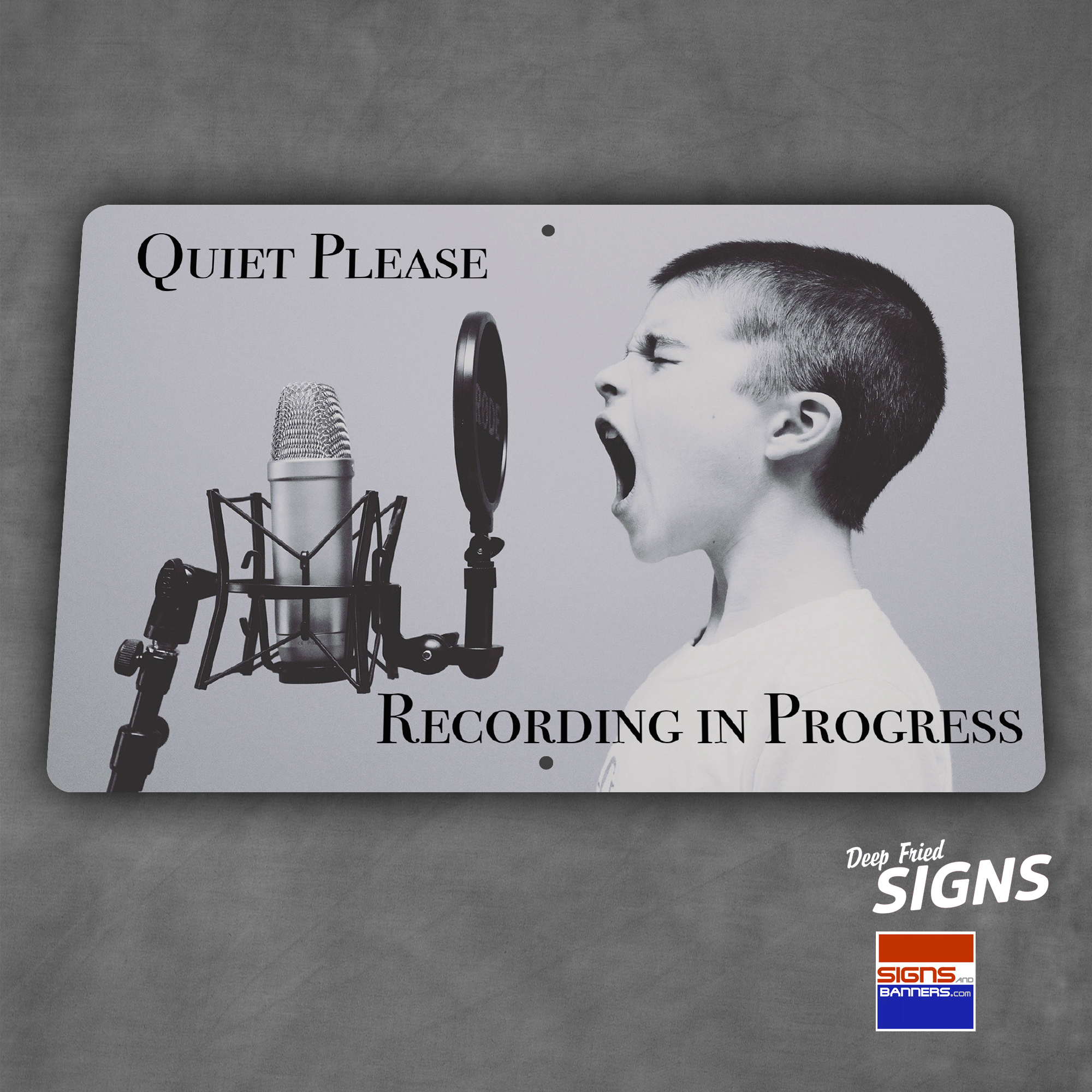 Recording In Progress